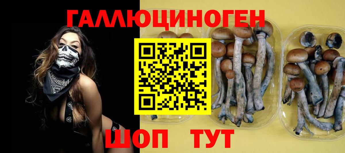 Луховицы  Псилоцибиновые грибы прущие грибы  Вход с VPN 