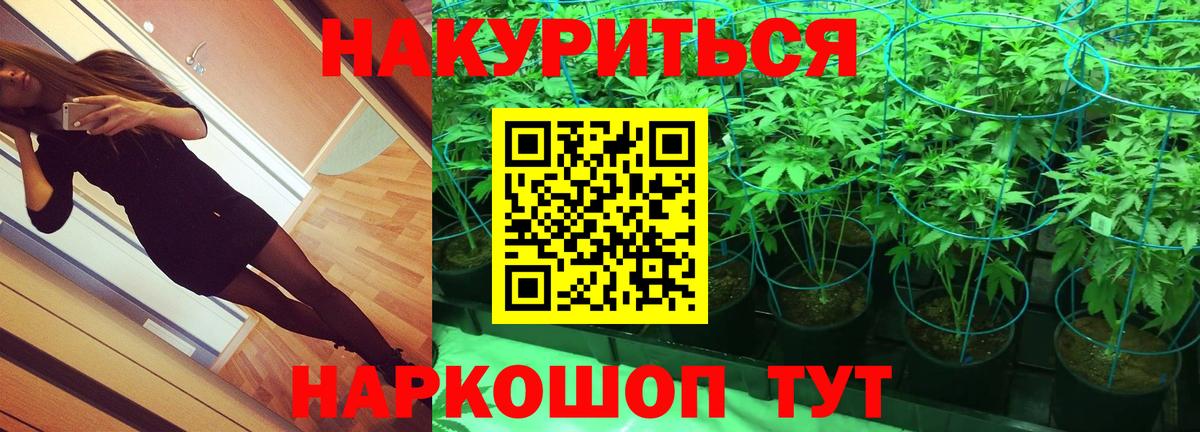 Каннабис MAZAR Луховицы